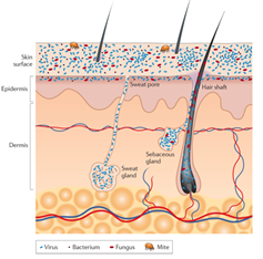 微信圖片_20191213174313