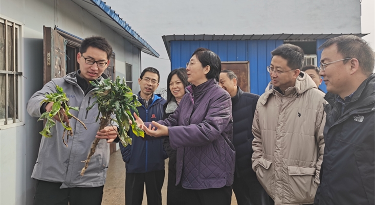 焦紅赴定點扶貧縣慰問調研 焦紅赴定點扶貧縣慰問調研