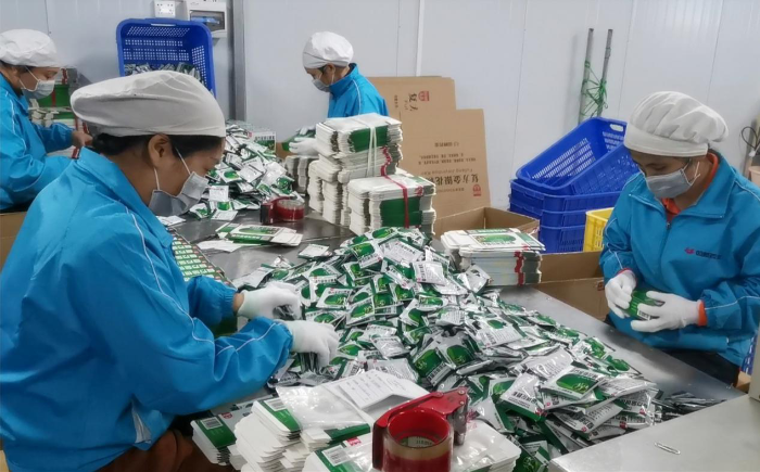 圖為雙蟻藥業生產一線員工提前復工復產（莫永娟 攝）