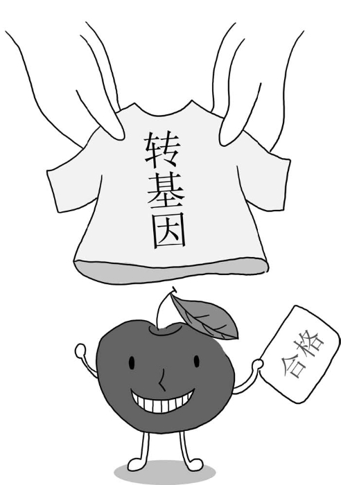 食品安全法 食品安全法