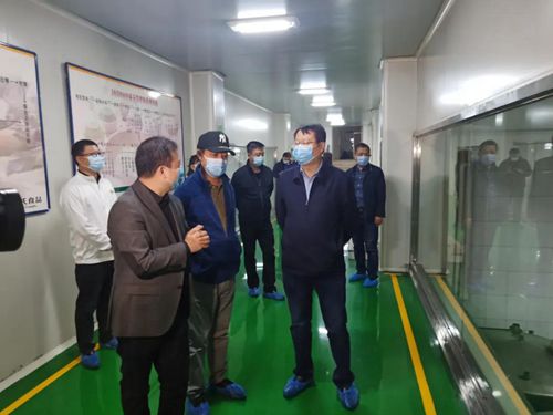 黑龍江省市場監(jiān)管局黨組成員、副局長李勁松帶隊在哈爾濱市督導檢查