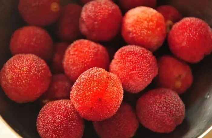 楊梅染色不能吃？吃之前一定要知道這幾個真相