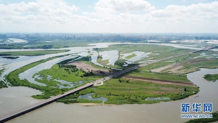 這是6月18日拍攝的黑龍江太陽島國家濕地公園局部（無人機照片）。新華社記者王建威攝