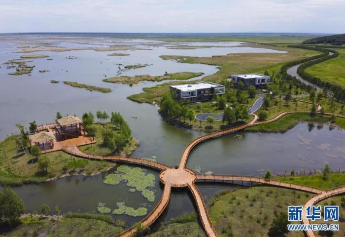 這是6月12日拍攝的富錦國家濕地公園（無人機照片）。新華社發(fā)（張濤 攝）