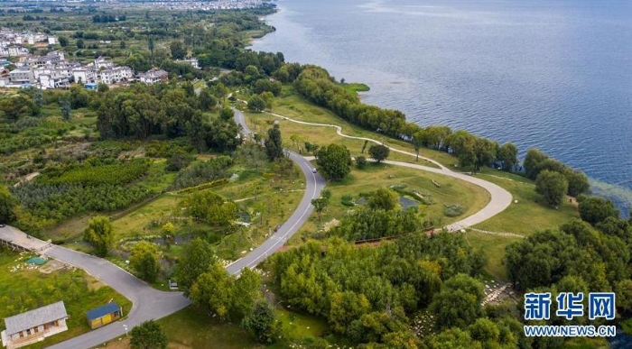 云南省大理市環洱海流域湖濱緩沖帶生態廊道一景（9月3日攝，無人機照片）。新華社記者 胡超 攝