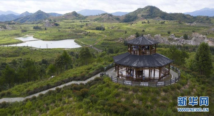 這是位于江西省尋烏縣文峰鄉上甲村附近的生態修復區（7月19日攝，無人機照片）。 新華社記者 彭昭之 攝