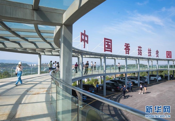 湖北省十堰市鄖陽區青龍泉社區香菇產業基地(8月28日攝)。新華社記者 肖藝九 攝 湖北省十堰市鄖陽區青龍泉社區香菇產業基地(8月28日攝)。新華社記者 肖藝九 攝