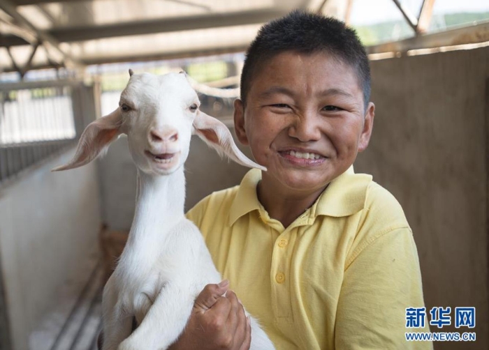湖北省孝昌縣鄒崗鎮校堂村大學生“羊倌”唐根根抱起一只小羊(8月26日攝)。新華社記者 肖藝九 攝 湖北省孝昌縣鄒崗鎮校堂村大學生“羊倌”唐根根抱起一只小羊(8月26日攝)。新華社記者 肖藝九 攝