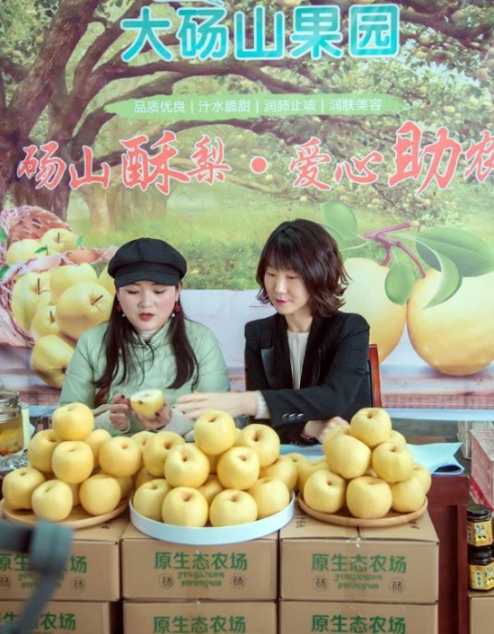 安徽碭山:特色產業搭“快車”,“電商扶貧”再升級 安徽碭山:特色產業搭“快車”,“電商扶貧”再升級