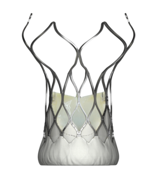 微創心通 - 經導管主動脈瓣膜系統-產品圖片2