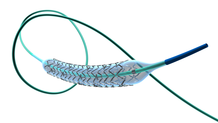 微創神通_椎動脈雷帕霉素靶向洗脫支架系統_圖片1