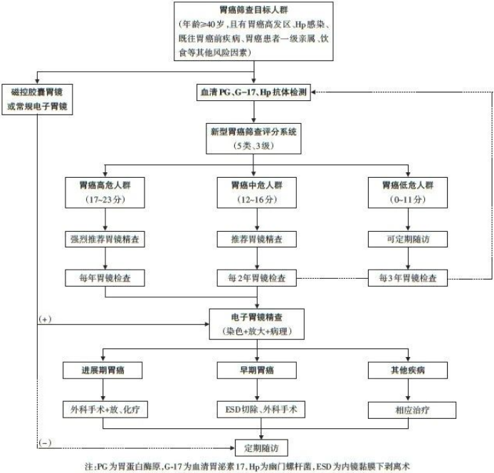 圖為早期胃癌篩查的推薦參考流程。 圖為早期胃癌篩查的推薦參考流程。