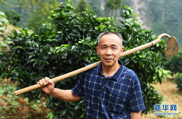 這是2020年7月3日在重慶市巫山縣竹賢鄉下莊村拍攝的毛相林。新華社記者 王全超 攝