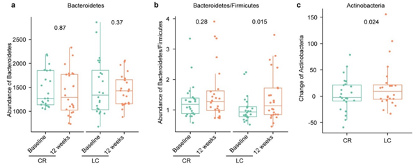 圖1.兩種膳食干預(yù)前后的菌群結(jié)構(gòu)變化