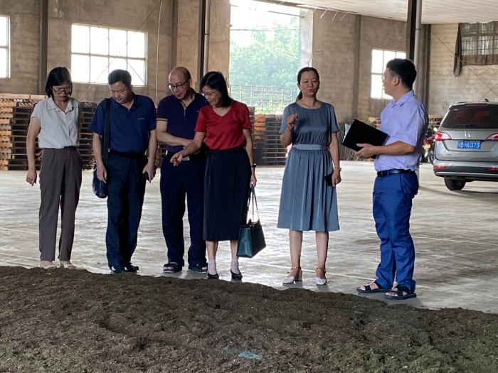 圖為調(diào)研組查看晾干粉碎后的青蒿原料。