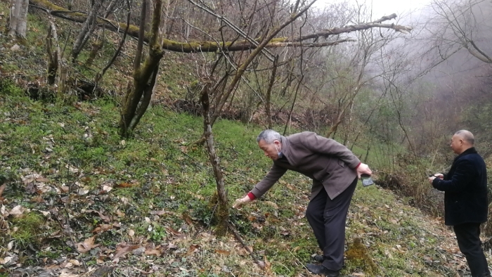 湖北省十堰市竹溪縣-湖北盤龍國瑞醫藥有限公司-夏賦文工作照 (2) 湖北省十堰市竹溪縣-湖北盤龍國瑞醫藥有限公司-夏賦文工作照 (2)