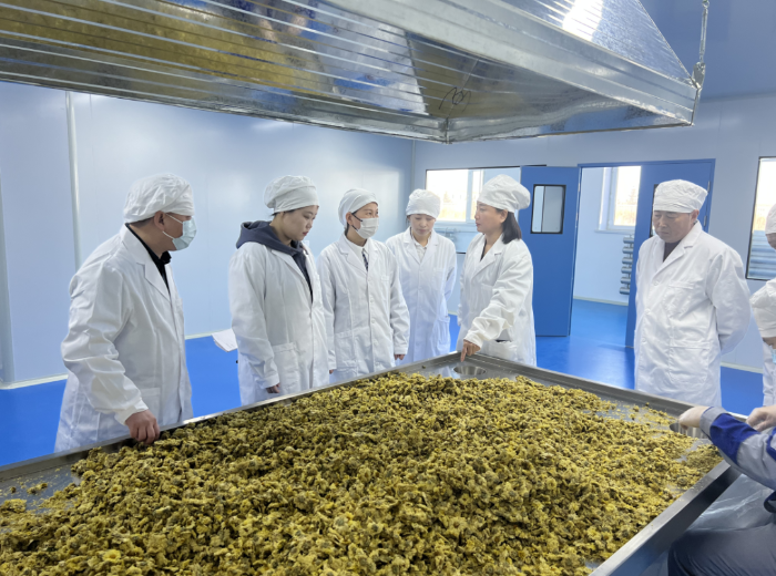 省藥品審核查驗中心深入企業開展精準幫扶