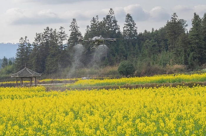 新一輪千億斤糧食產能提升行動