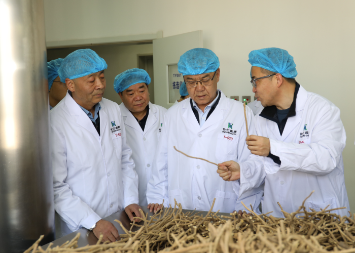 圖為調研組在一家中藥生產企業的前處理提取車間了解中藥注射劑智能化平臺建設情況。（楊喆 攝）